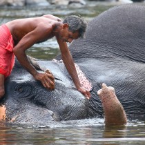 India ‘Land Of Wonders’