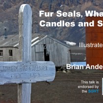 Seals, Whales, Candles and Soap