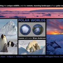 Polar Worlds