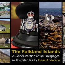 The Falkland Islands