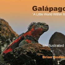 Galápagos – A Little World Within Itself